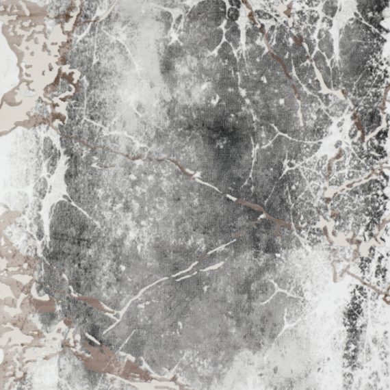 Dionysia Grey Transitional Abstract Area Rug